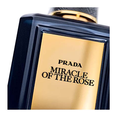 prada miracle of the rose equivalente|miracle of the rose prada.